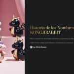 1 Historia de los Nombres de KONGJIRABBIT